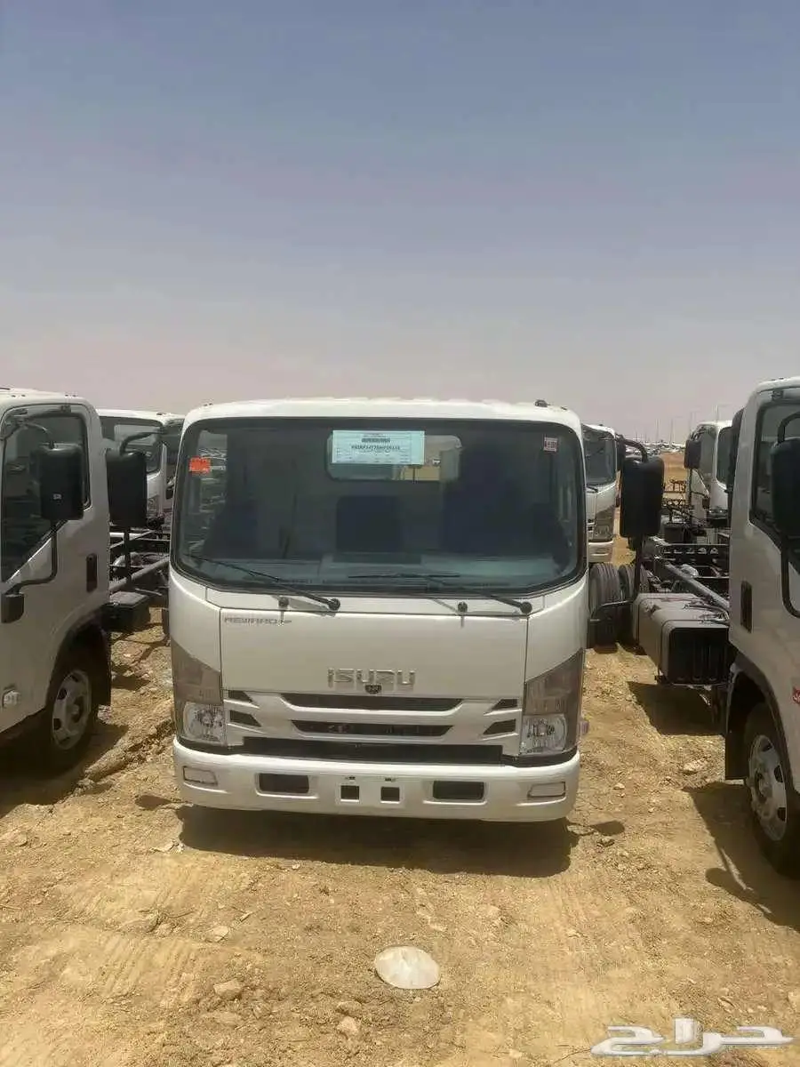 دينات ايسوزو 2025 4