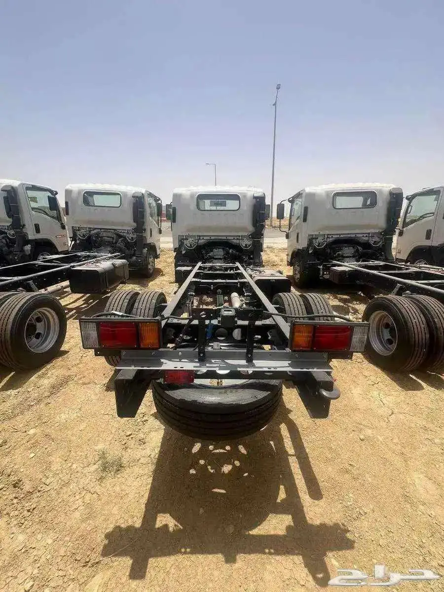 دينات ايسوزو 2025 3