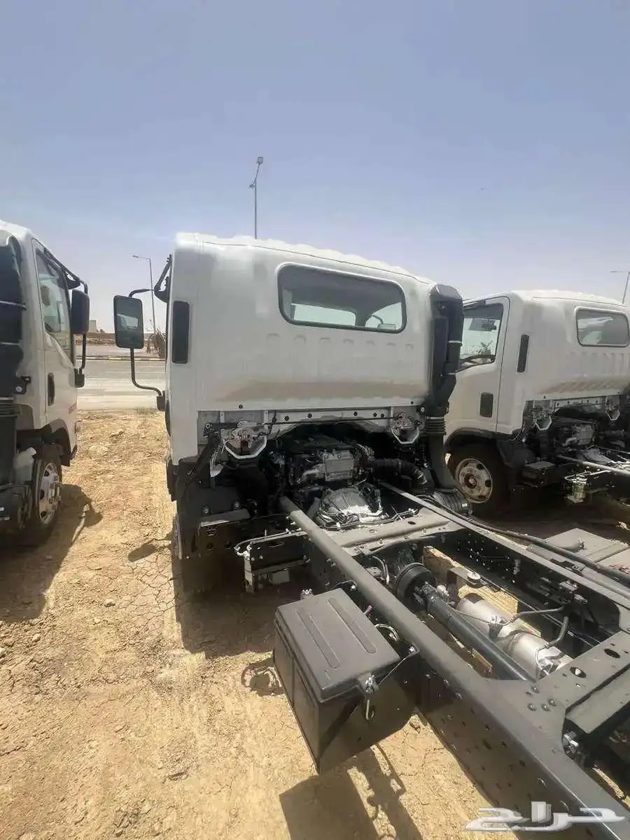دينات ايسوزو 2025 2