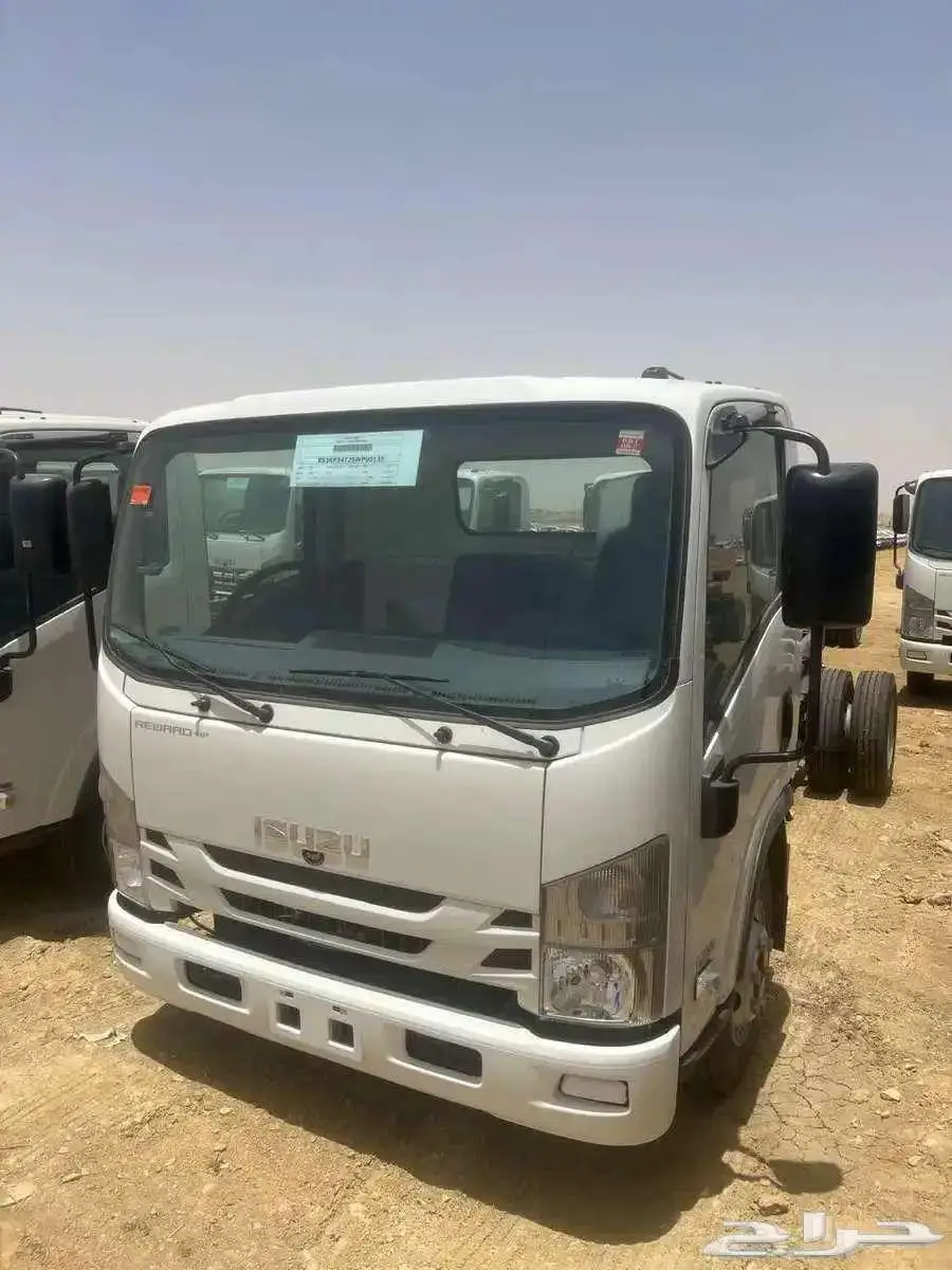 دينات ايسوزو 2025 1