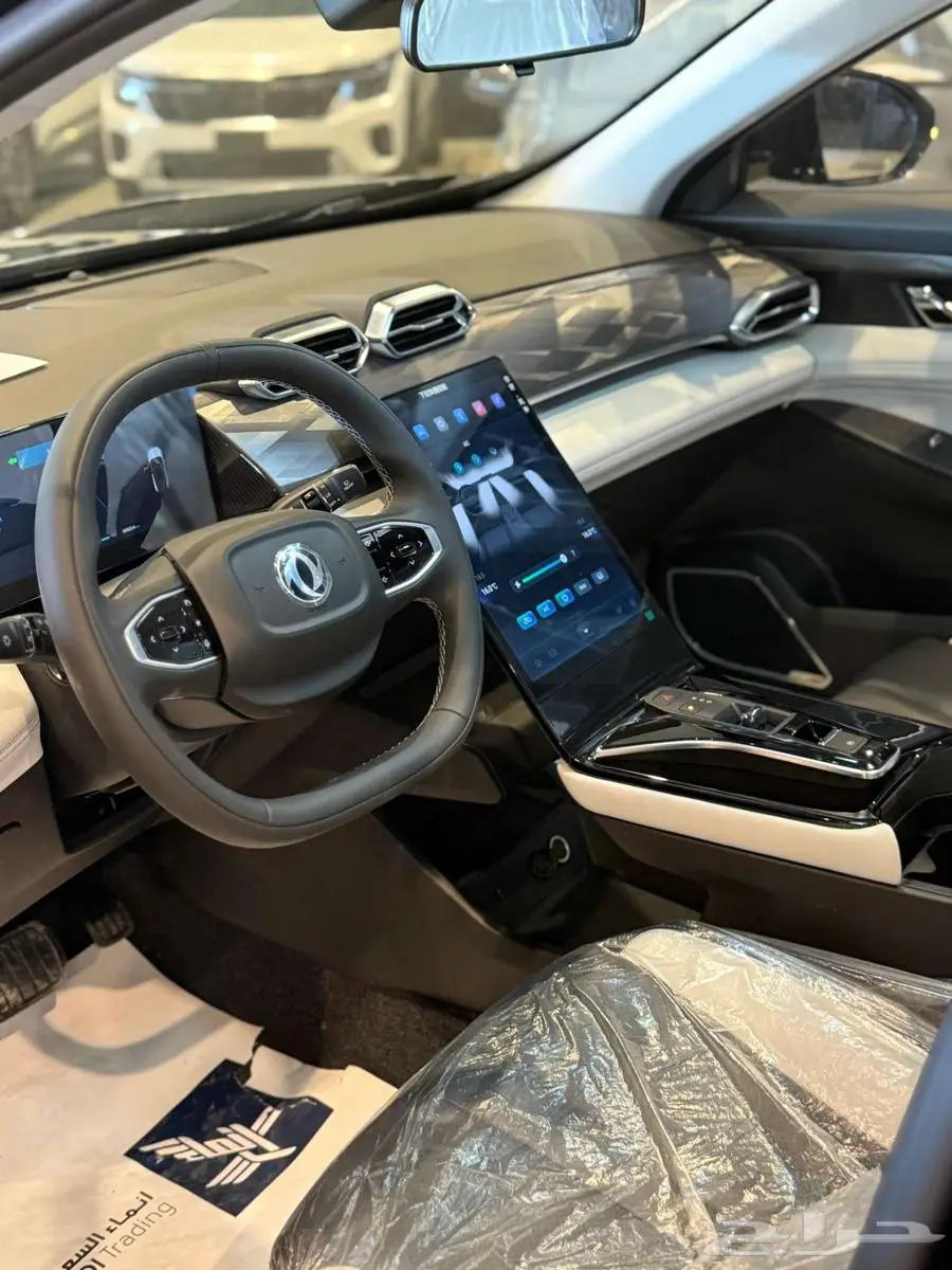 دونج فينج ميج 2025 14