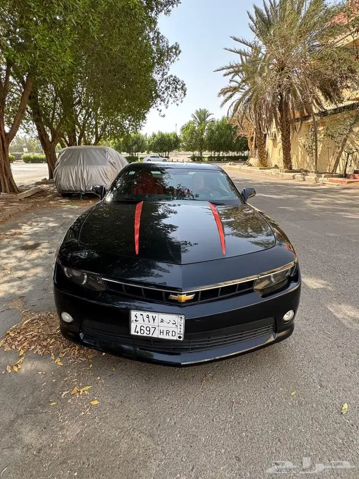 كمارو 2015 8