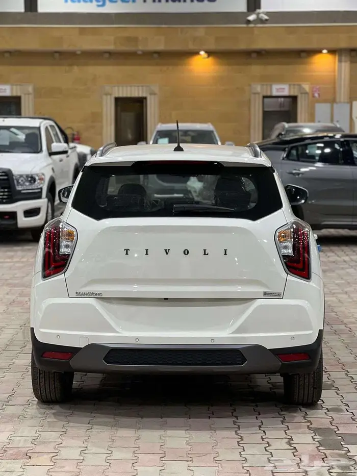 سانق يونق تيفولى 2024 13