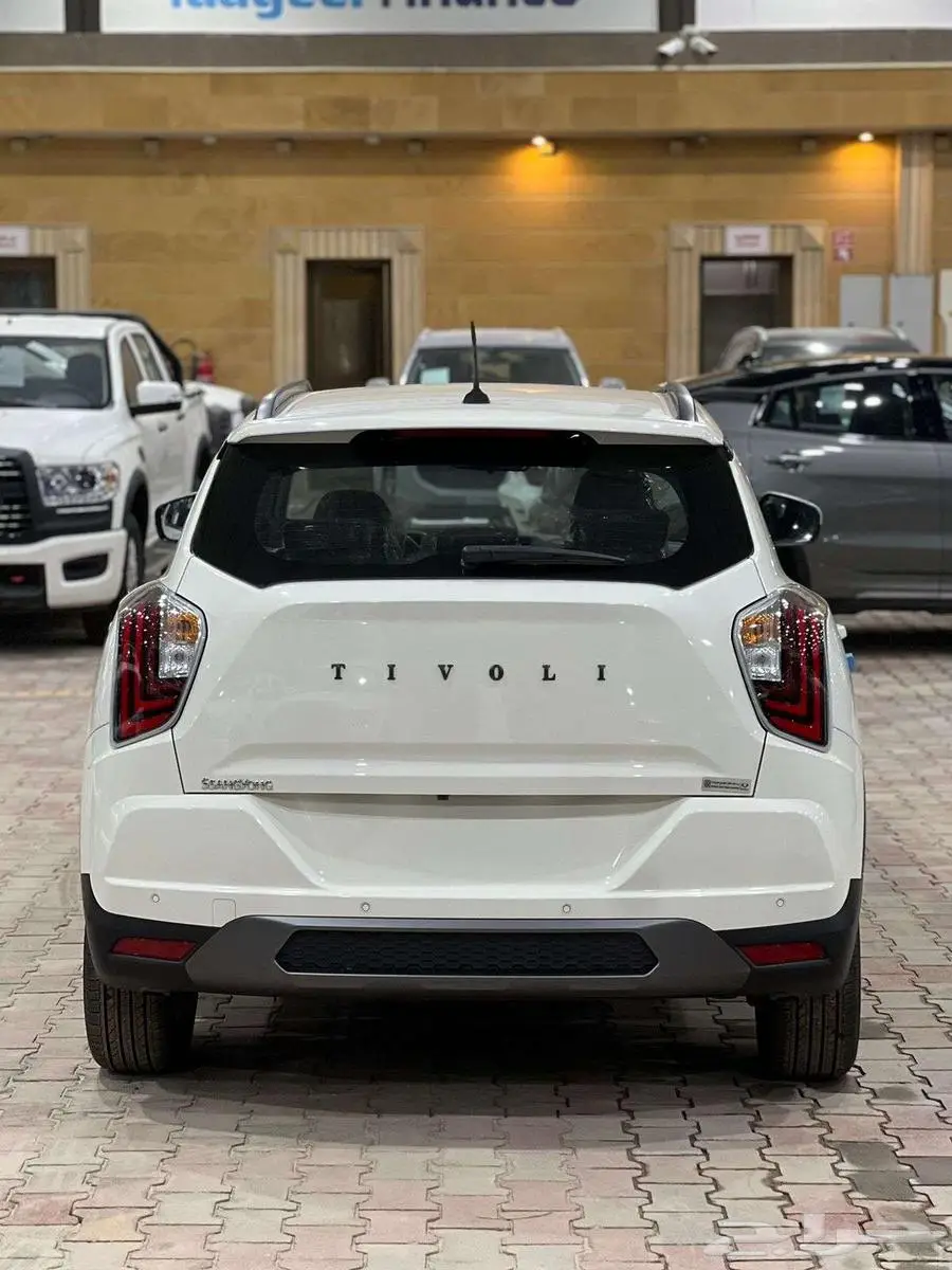 سانق يونق تيفولى 2024 13