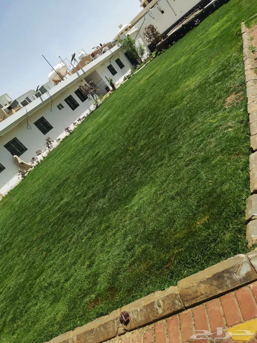 توريد وتركيب الثيل الطبيعي 0