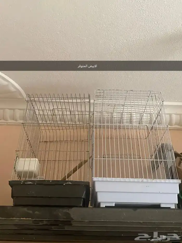 للبيع ثلاث اقفاص كبيره 1