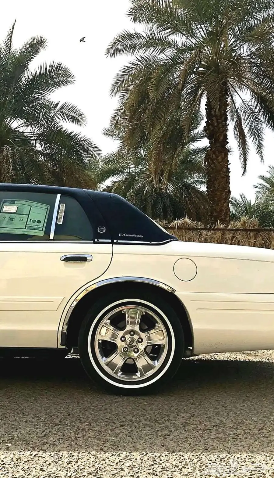 قطع تجديد الفورد ماركيز و فكتوريا ونياكل الجمرك قطب 46
