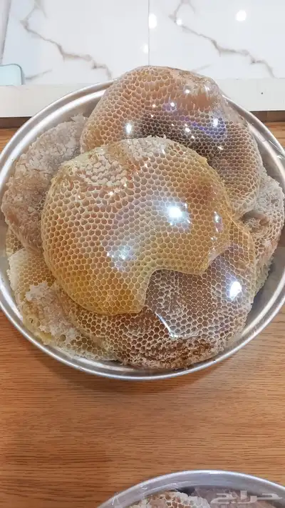 عسل طلح وزن 4 كيلو تقريبا من طلح الجنوب 1