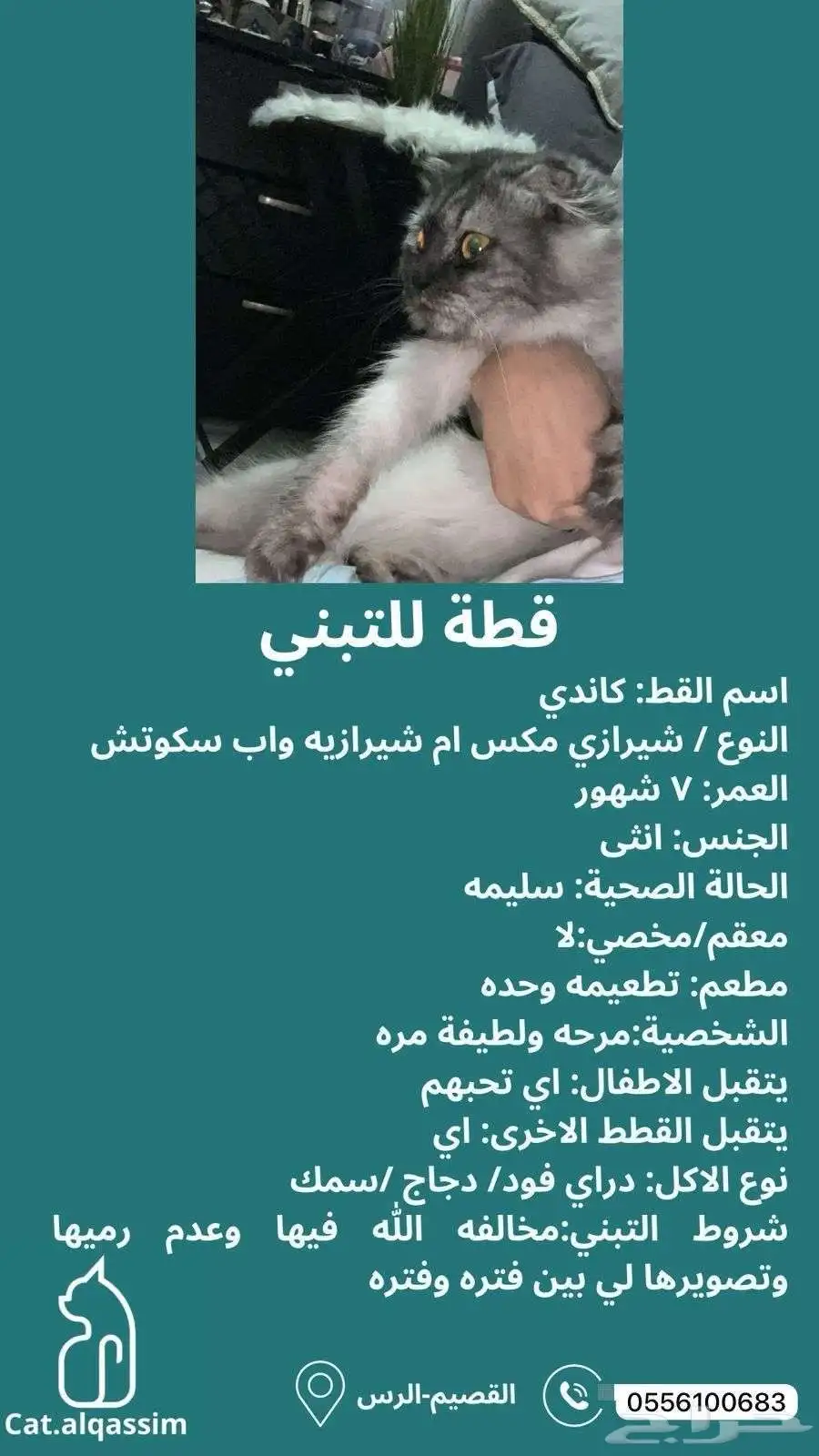 سبب التبني عدم القدره ع شراء أكلها بشكل دام 0