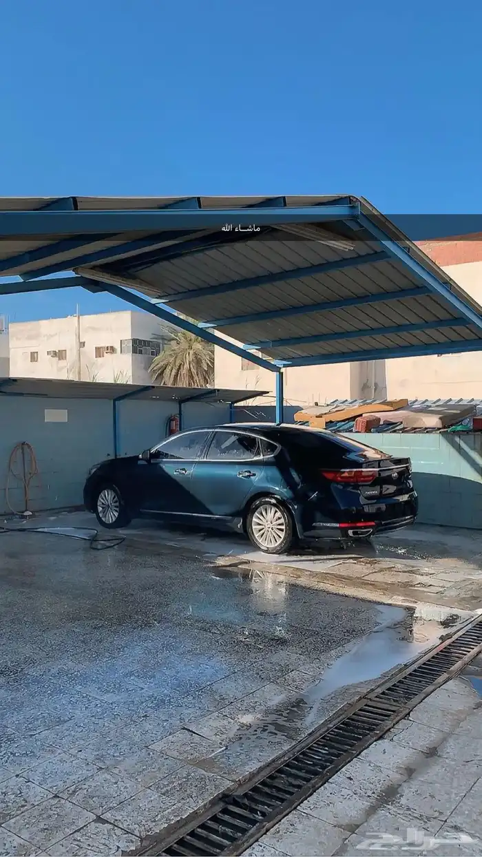 كادينزا 2017 5