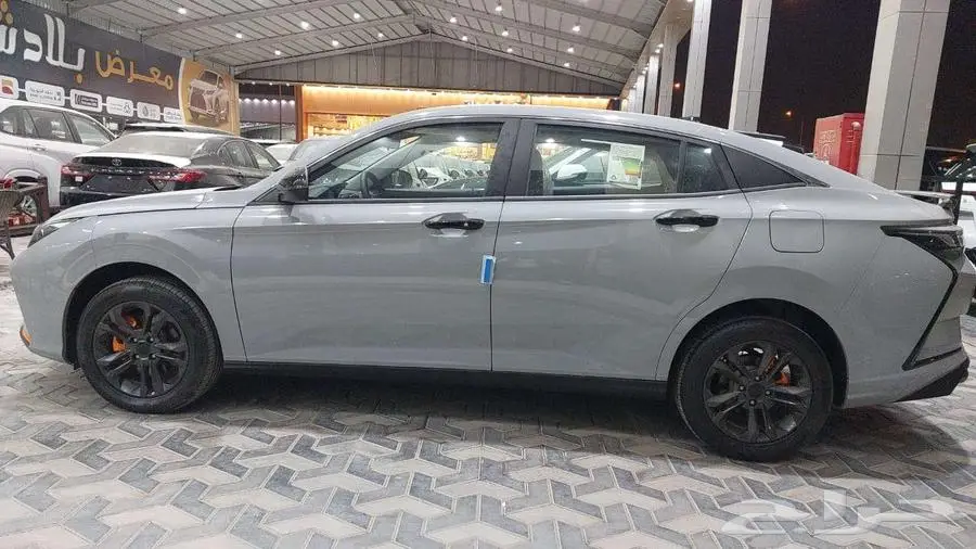 دونج فينج شان E1 سعودي 2025 9