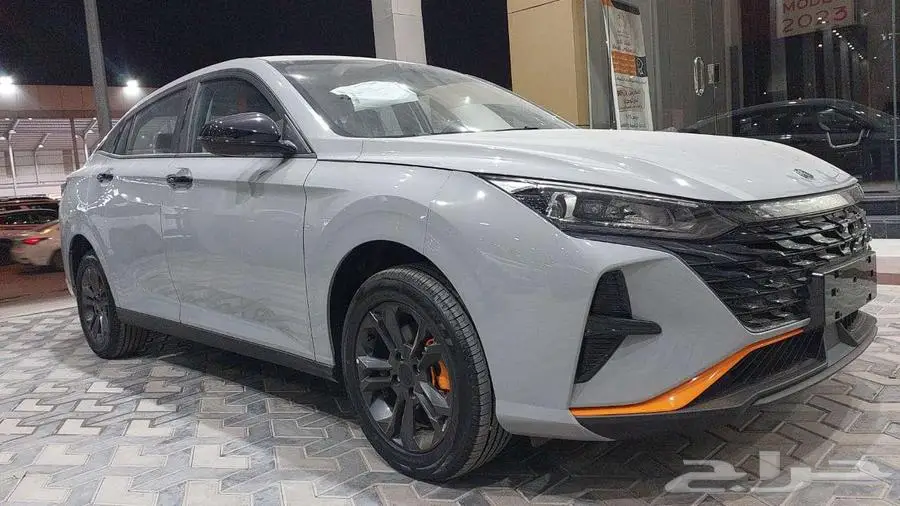 دونج فينج شان E1 سعودي 2025 18