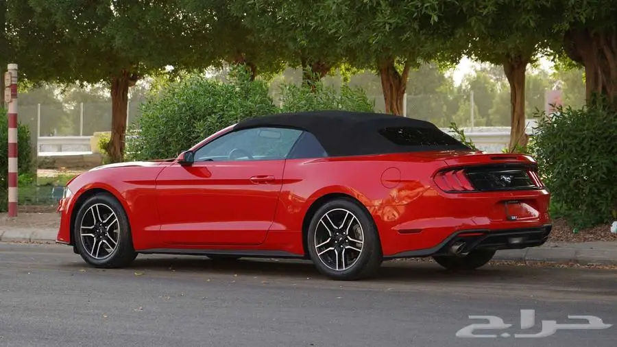 فورد موستينج - 2020 بطاقة جمركية 9