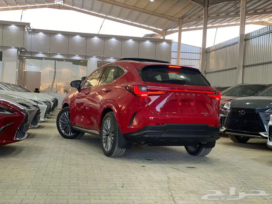 لكزس NX 350 CC فل كامل بنزين 2025 10