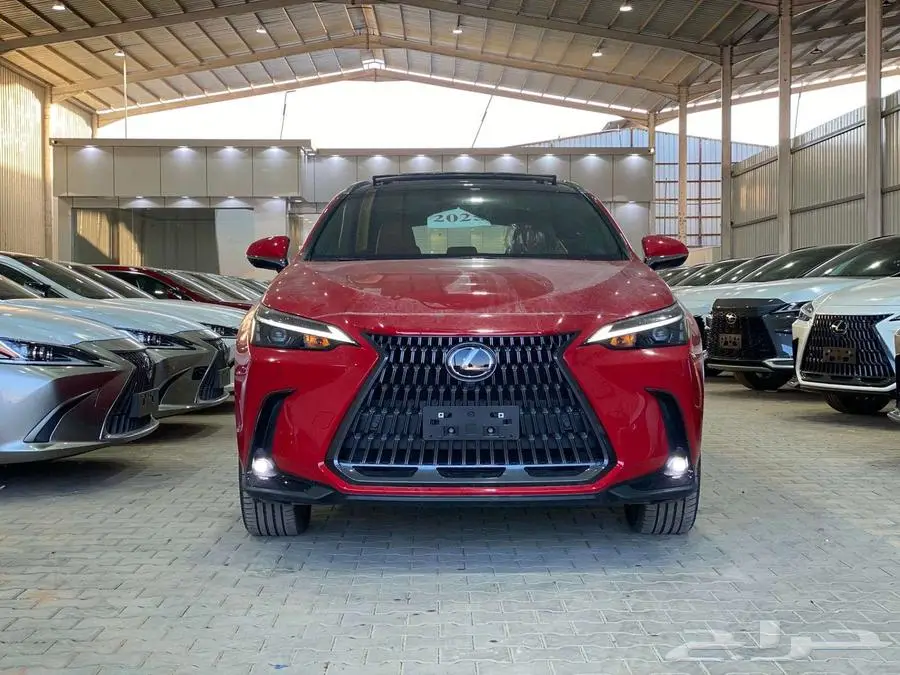 لكزس NX 350 CC فل كامل بنزين 2025 6