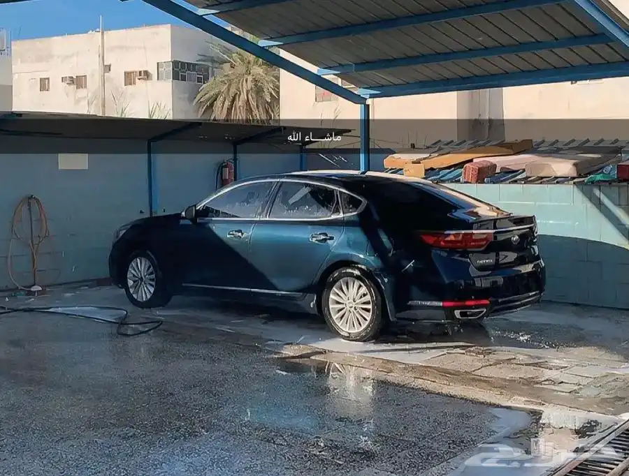 كادينزا 2017 0