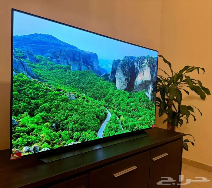 شاشة ال جي أوليد 55 بوصة LG OLED C1 1
