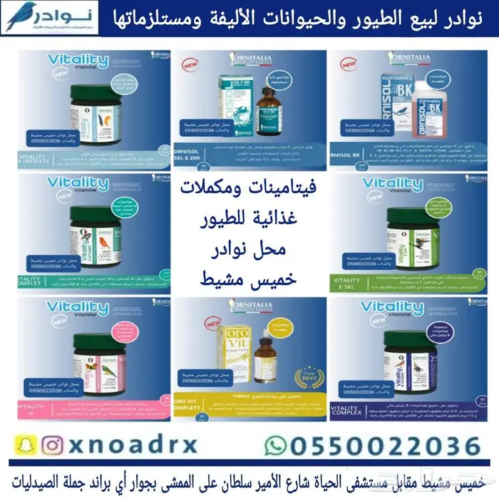 محل نوادر لبيع الطيور خميس مشيط 50