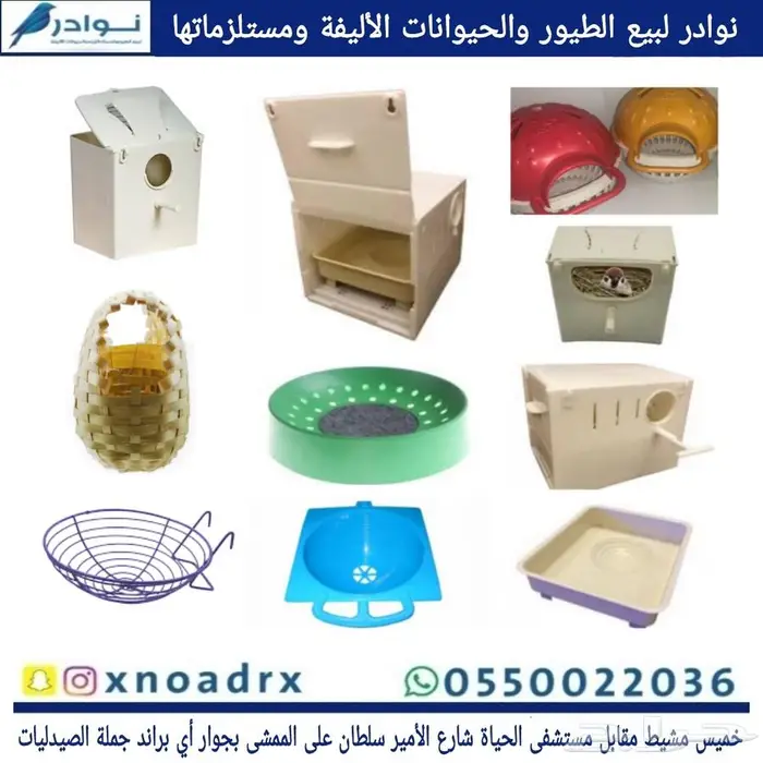 محل نوادر لبيع الطيور خميس مشيط 45