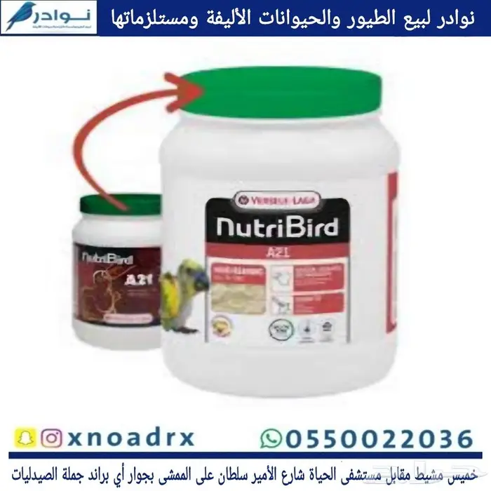 محل نوادر لبيع الطيور خميس مشيط 26