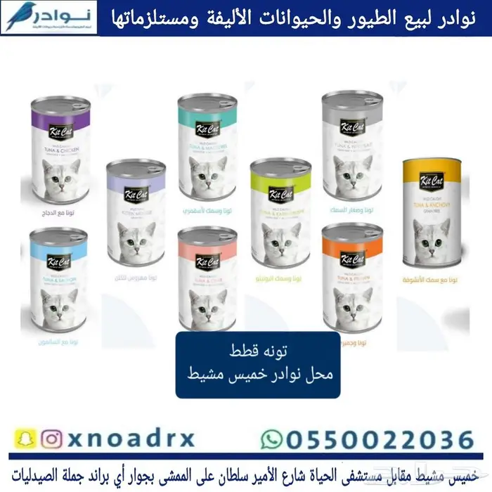 محل نوادر لبيع الطيور خميس مشيط 14