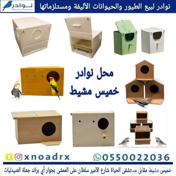 محل نوادر لبيع الطيور خميس مشيط 9