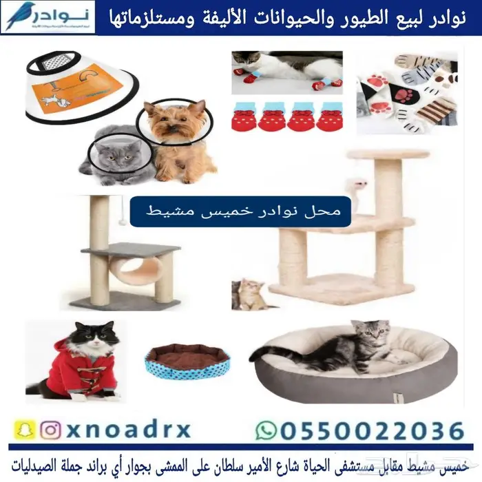 محل نوادر لبيع الطيور خميس مشيط 22