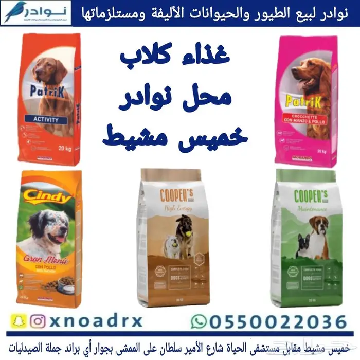 محل نوادر لبيع الطيور خميس مشيط 39