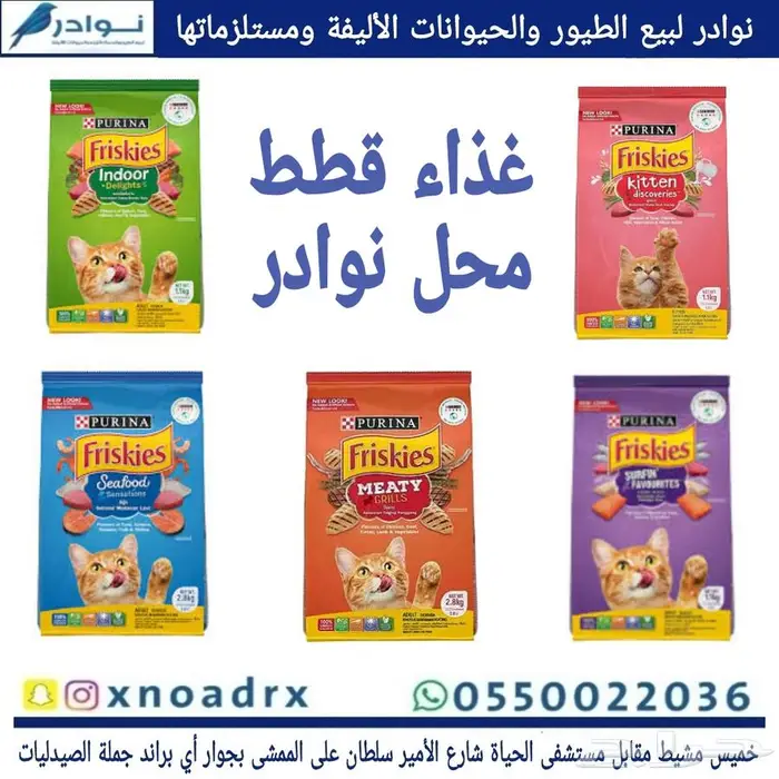 محل نوادر لبيع الطيور خميس مشيط 41