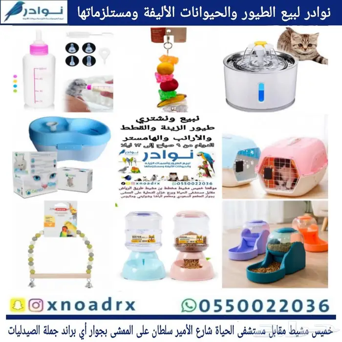 محل نوادر لبيع الطيور خميس مشيط 19