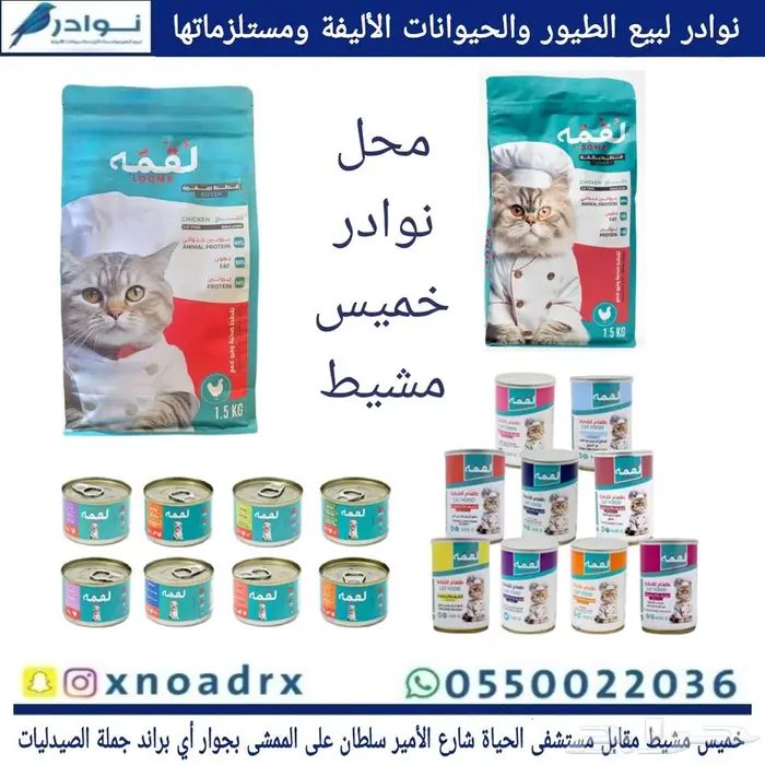 محل نوادر لبيع الطيور خميس مشيط 2