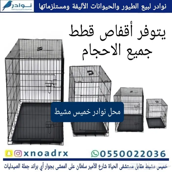 محل نوادر لبيع الطيور خميس مشيط 30