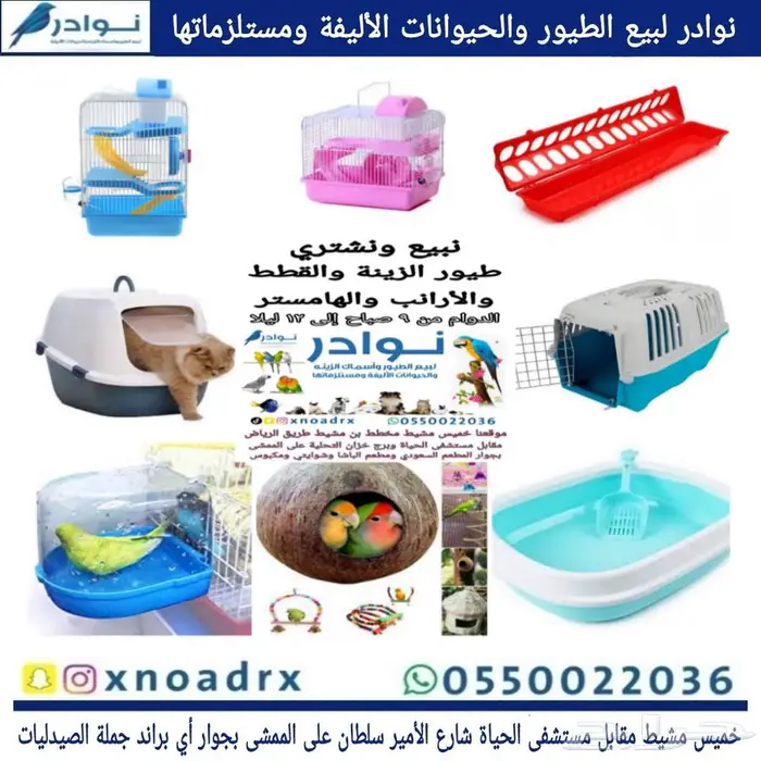 محل نوادر لبيع الطيور خميس مشيط 21