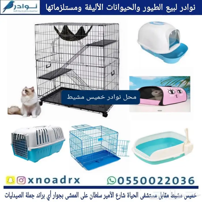 محل نوادر لبيع الطيور خميس مشيط 23