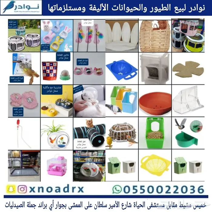 محل نوادر لبيع الطيور خميس مشيط 33