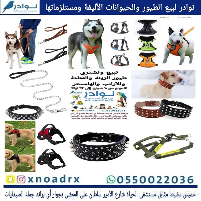 محل نوادر لبيع الطيور خميس مشيط 24