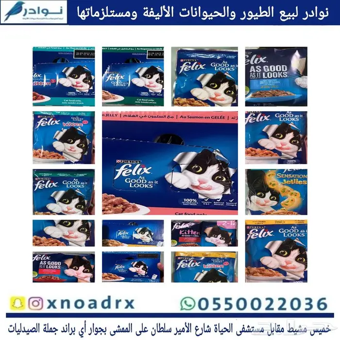 محل نوادر لبيع الطيور خميس مشيط 47