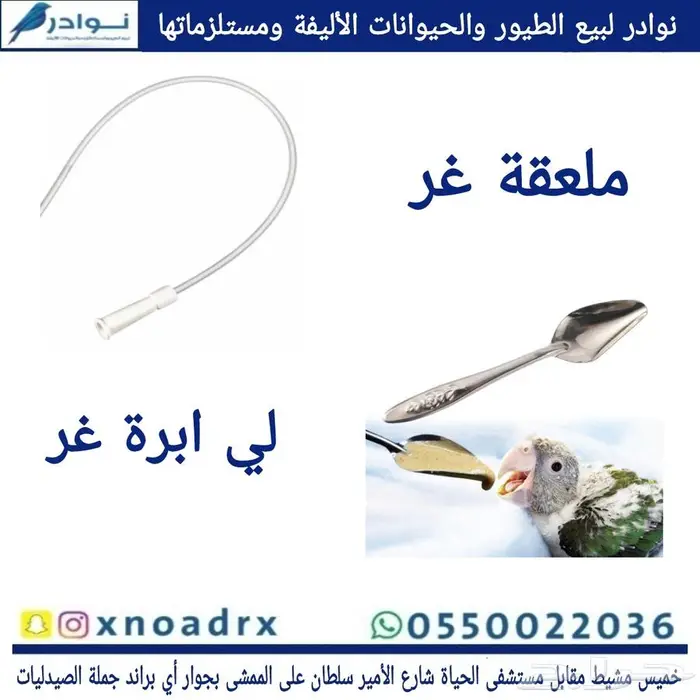 محل نوادر لبيع الطيور خميس مشيط 52