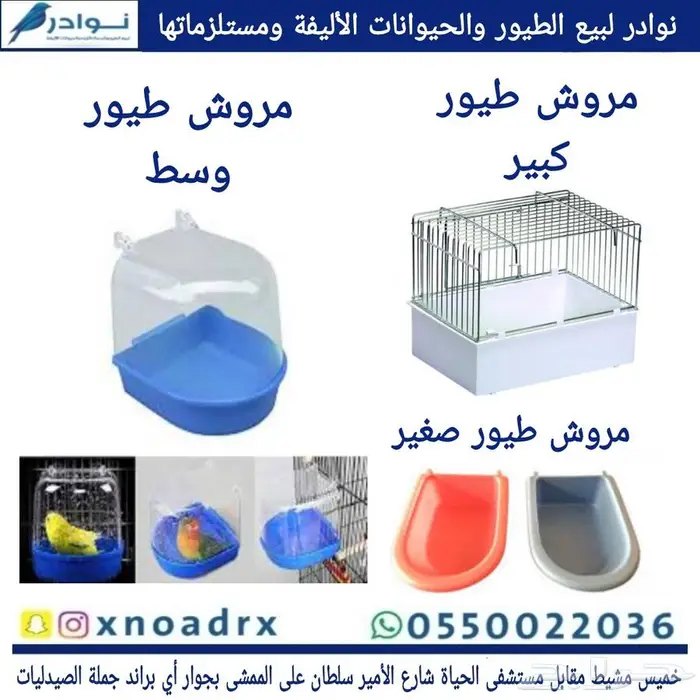 محل نوادر لبيع الطيور خميس مشيط 51