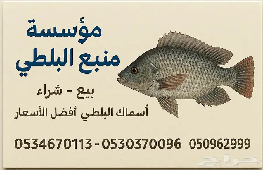 بيع وشراء اسماك البلطي 0
