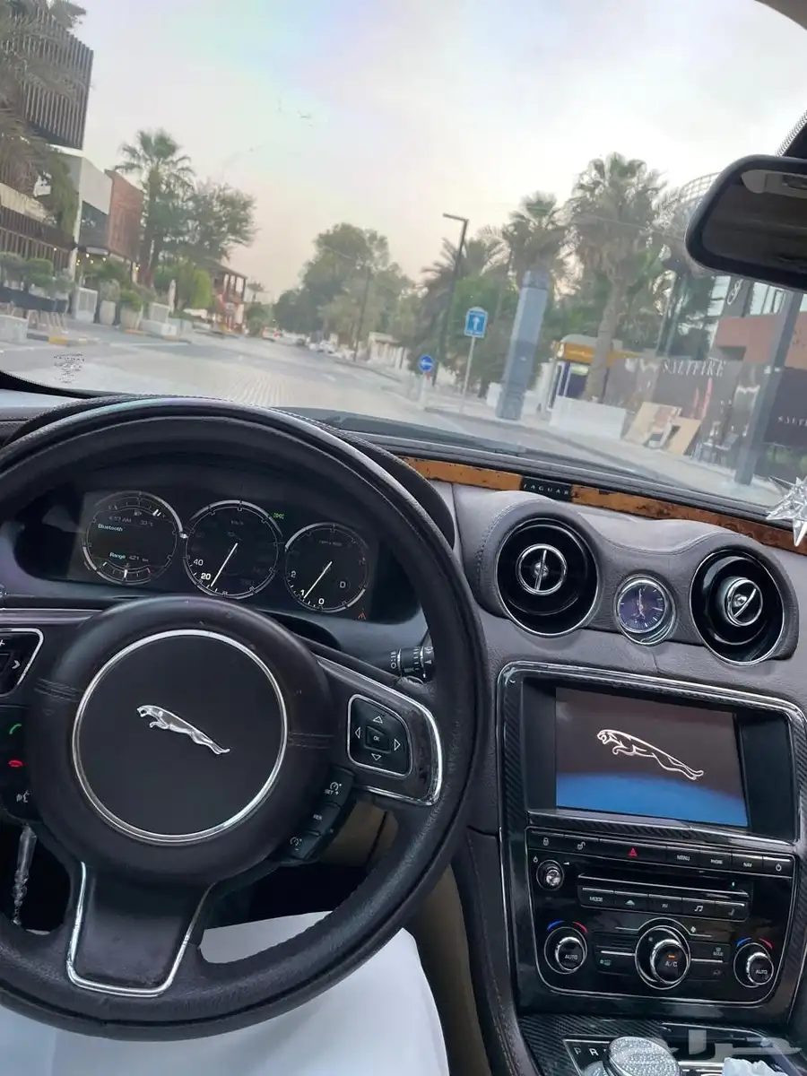 جاكوار مخزنه 19