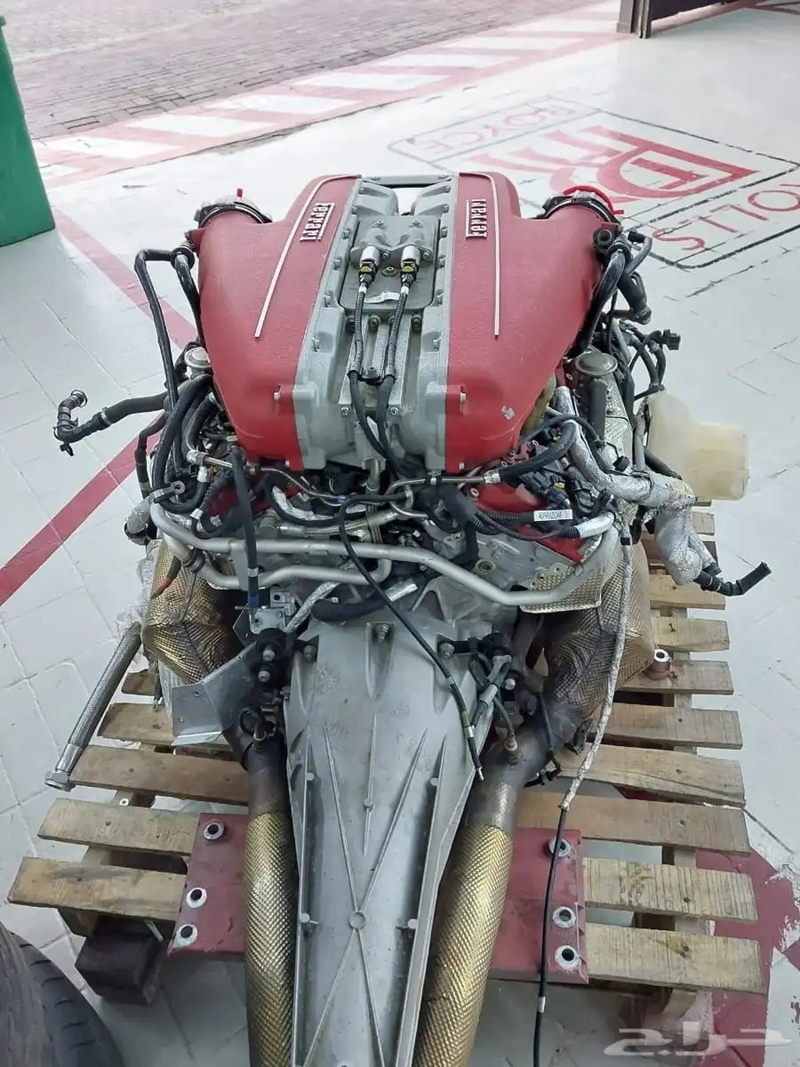 روز رايز 12