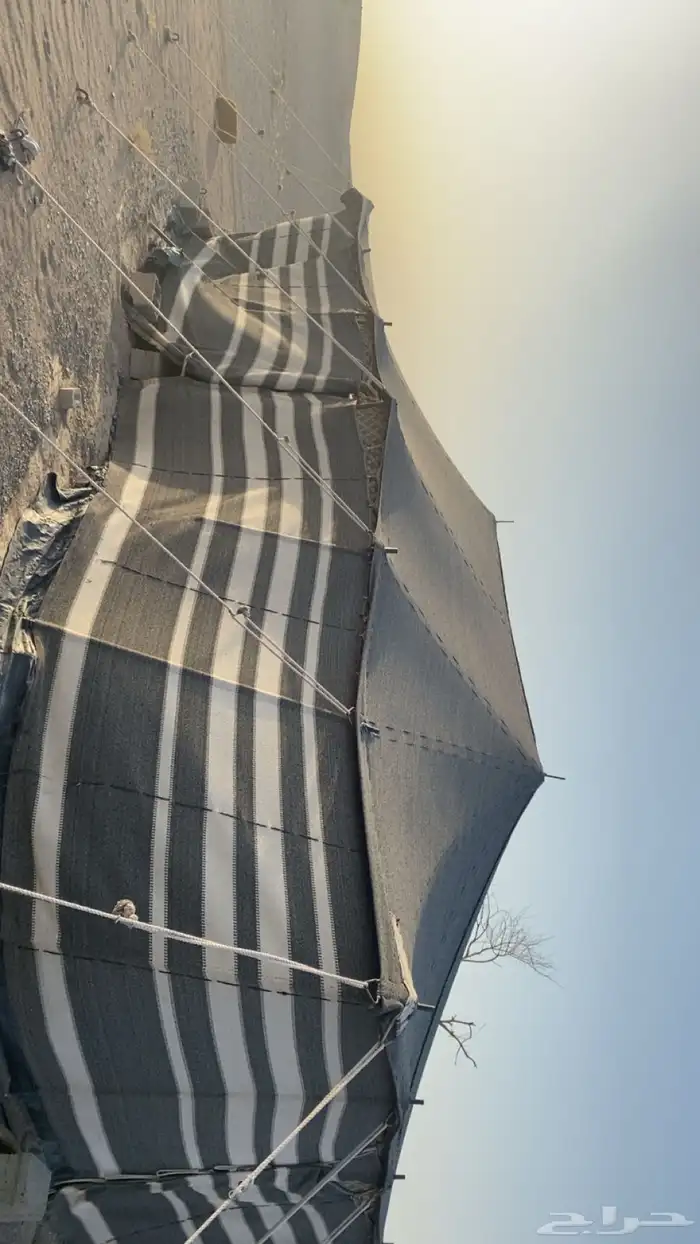 للبيع حد السوم 8