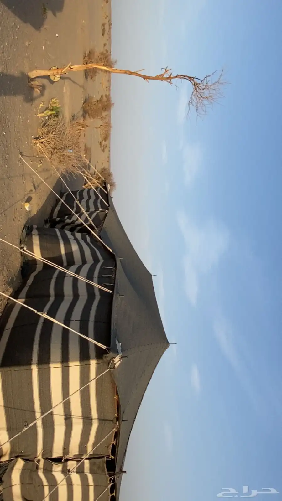 للبيع حد السوم 6