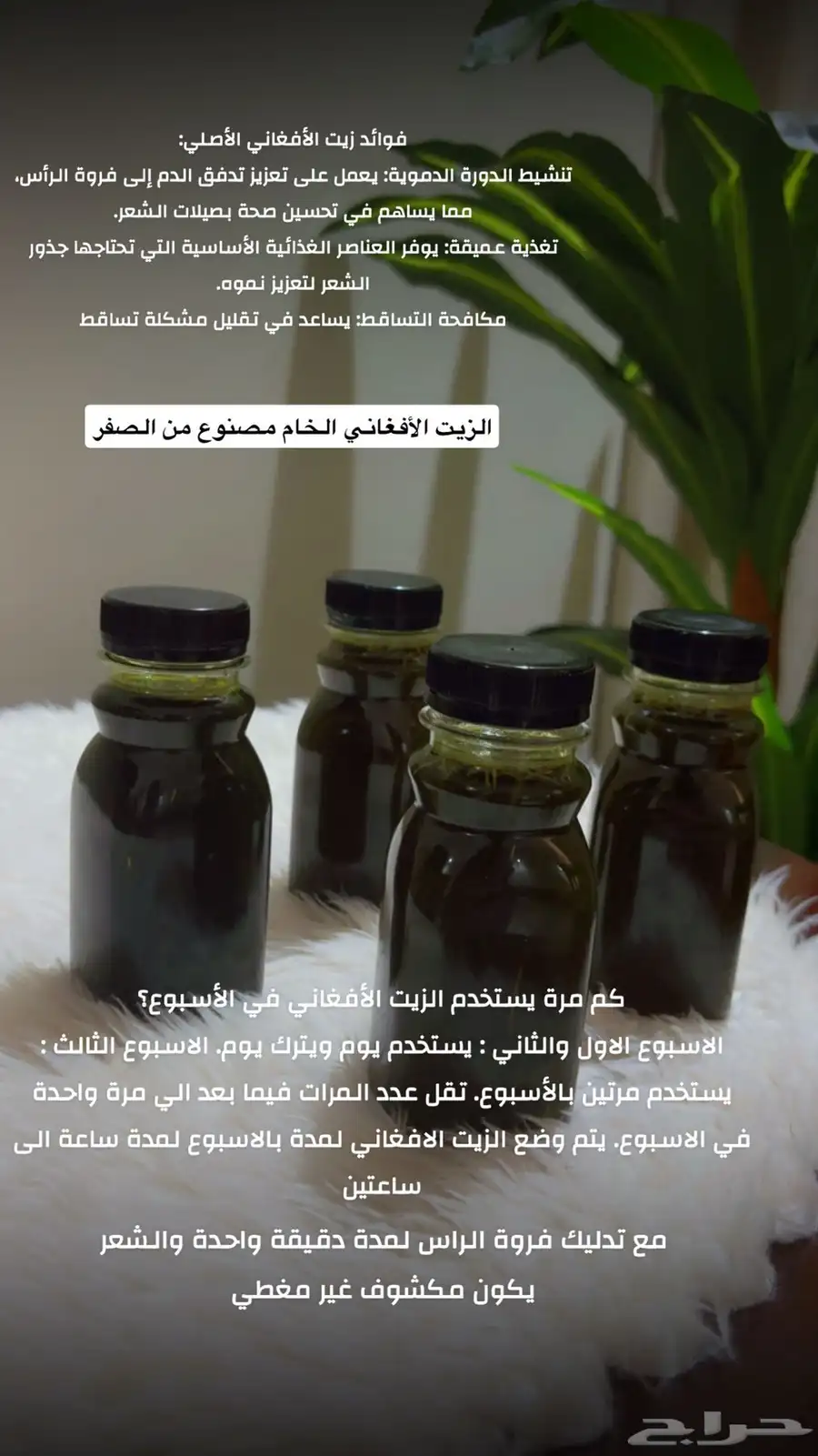 جازان حي الشاطي مخطط 8 30