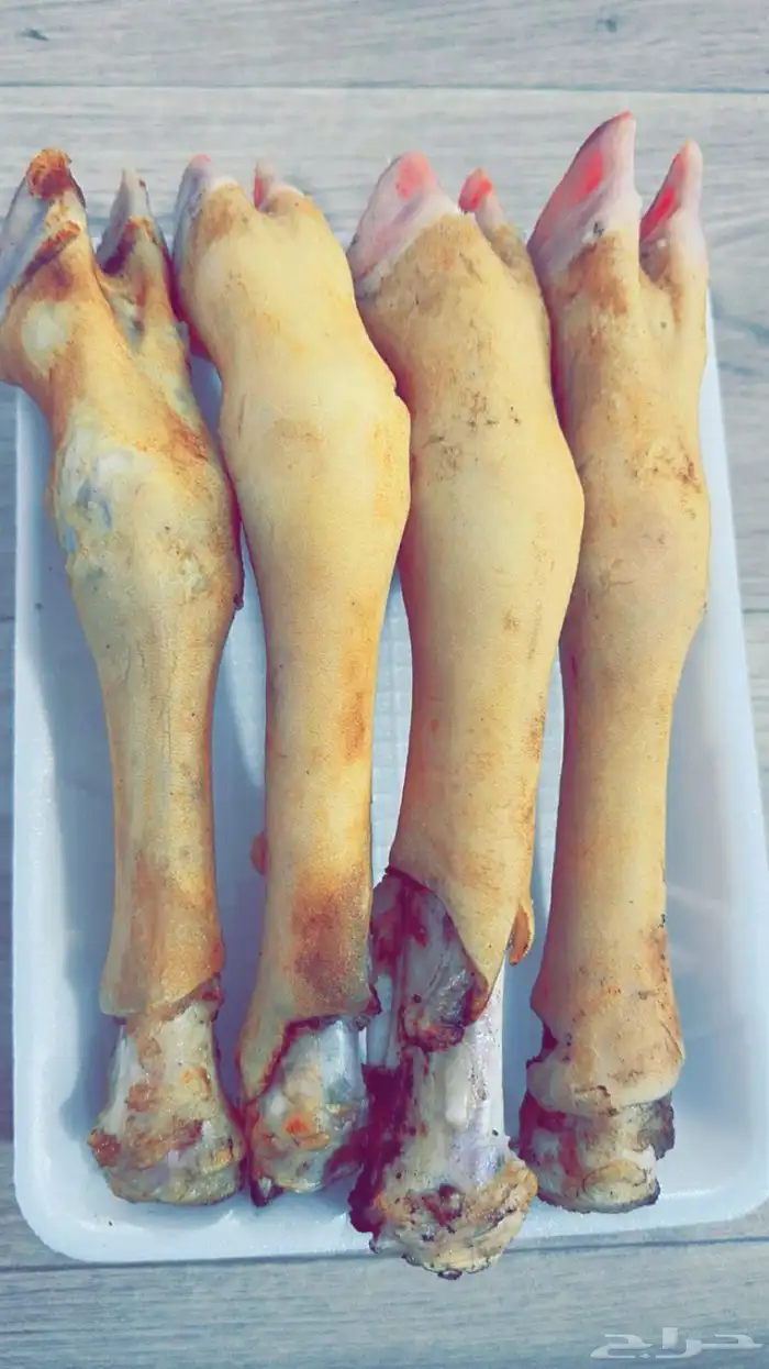 ذبايح حايل 6