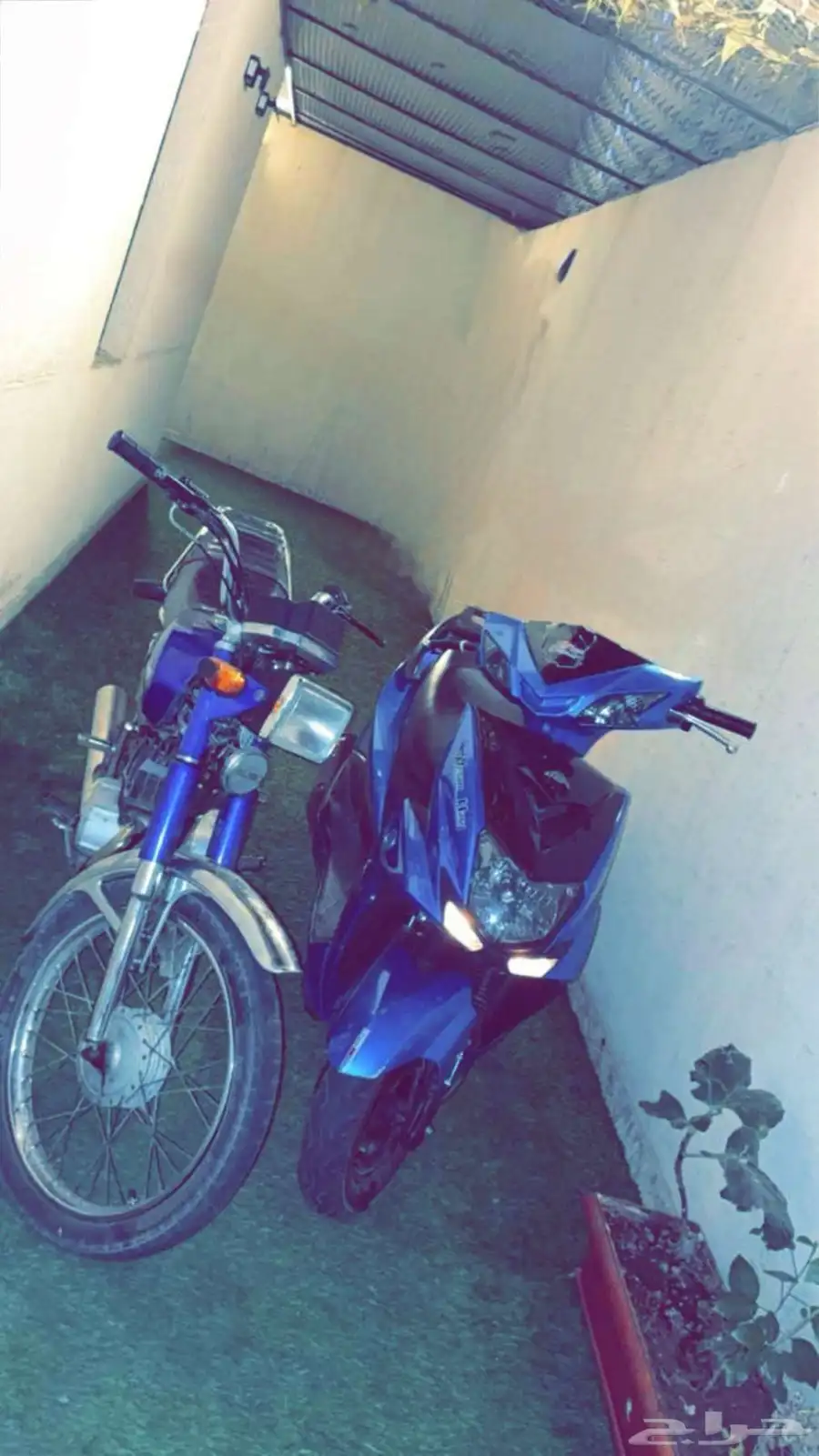 عجيب بور سبورت 0