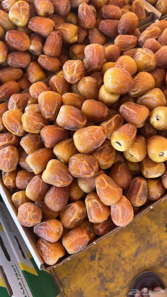 يوجد لدينا انواع التمور الفاخرة 5