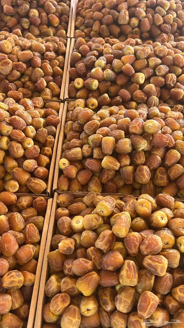 يوجد لدينا انواع التمور الفاخرة 0