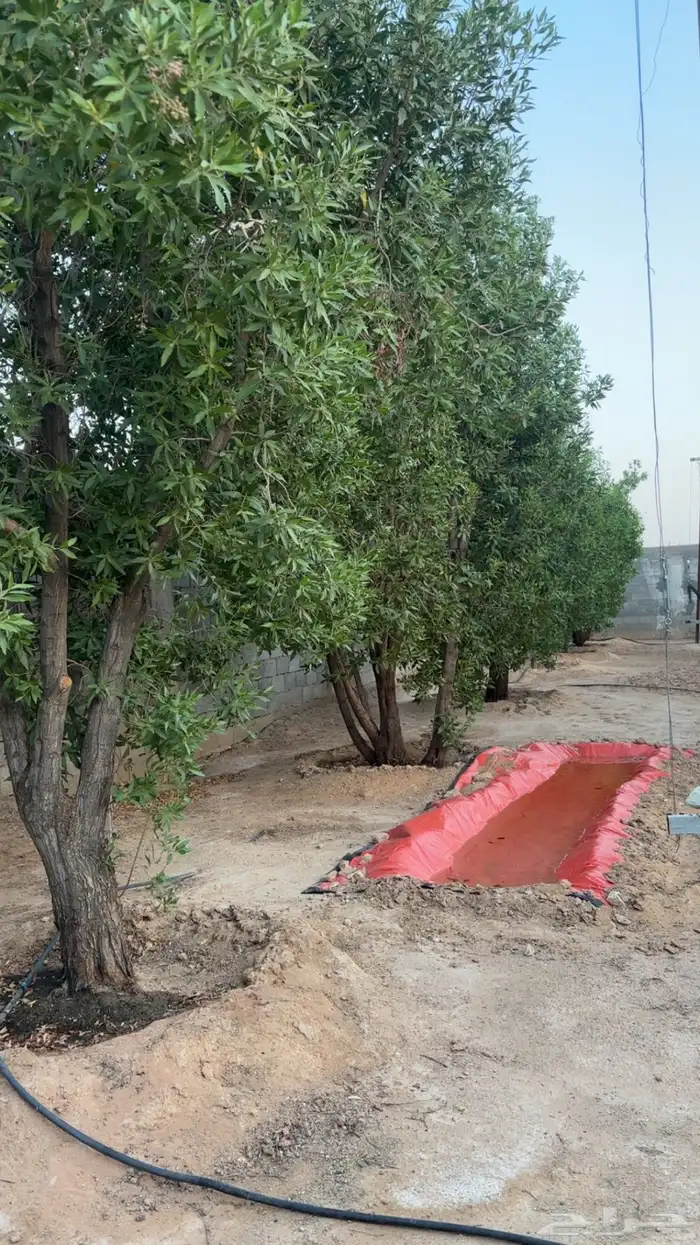 مزرعة للإيجار قرية زبالا 2